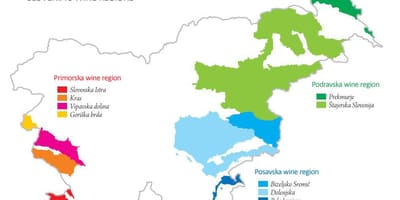 Karta Slovenije vino